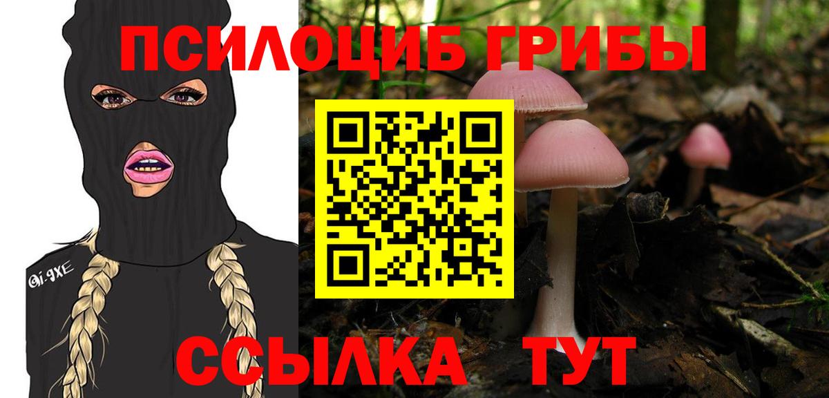 Псилоцибиновые грибы GOLDEN TEACHER Кушва