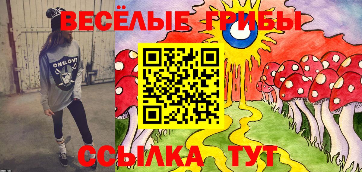 Галлюциногенные грибы GOLDEN TEACHER  Вход с VPN  купить закладку  Кушва 